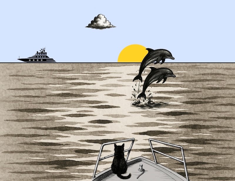 image décorative: mer, ciel, dauphins and a black cat