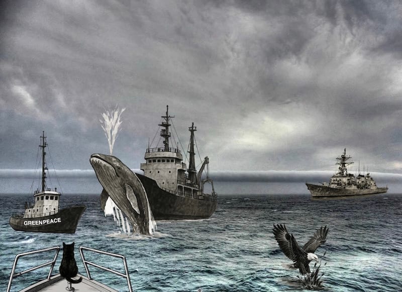 Image décorative : chasse à la baleine, Greenpeace, présence militaire, chat noir.