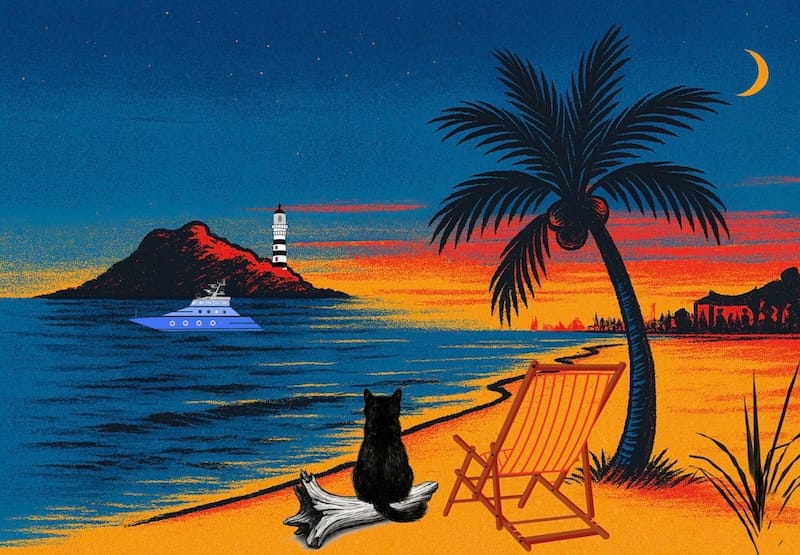 image décorative: plage, mer, cocotier, bateau, après coucher du soleil