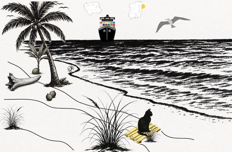 image décorative: mer, plage, bateau, cocotier, chat noir