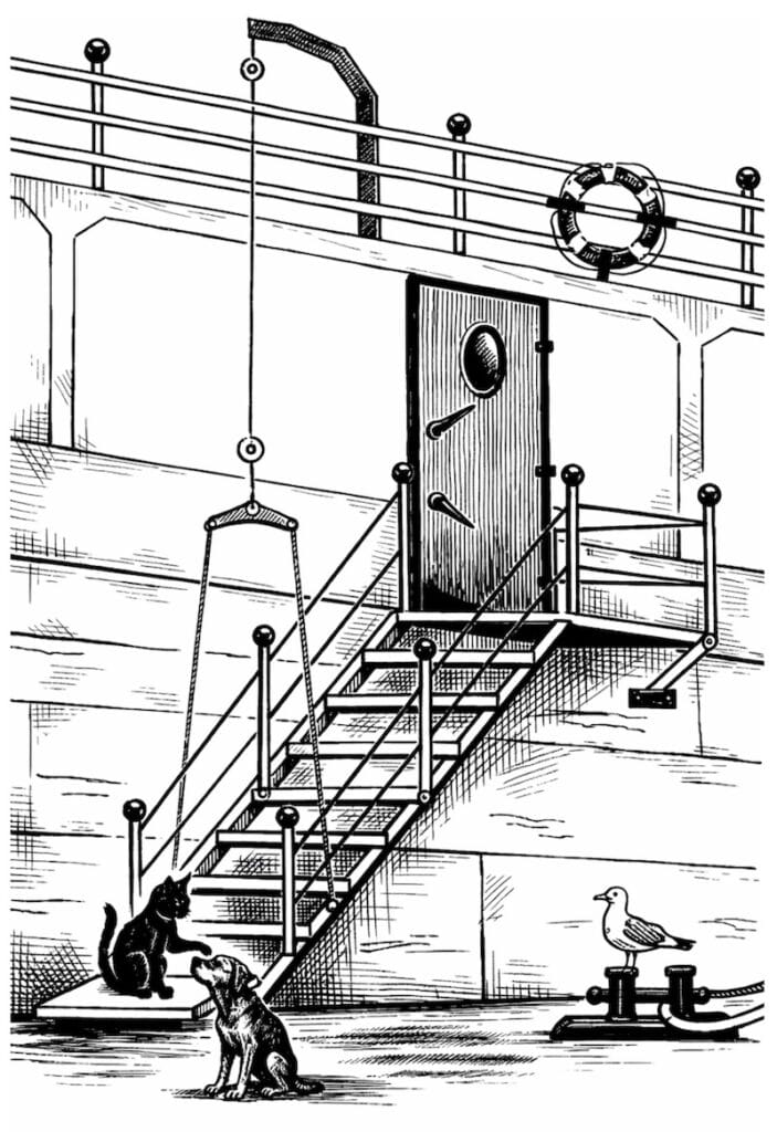 image décorative : passerelle (gangway).chien, chat et mouette